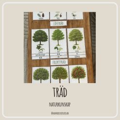 Träd