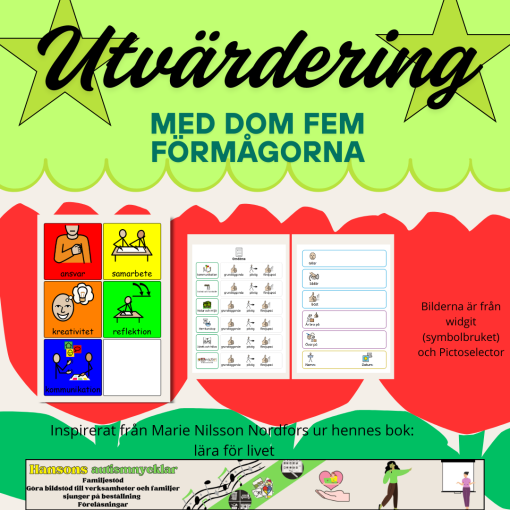 Utvärdering och omdöme med de fem förmågorna