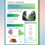 Livet i skogen - bild 1