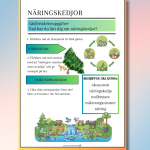 Livet i skogen - bild 2