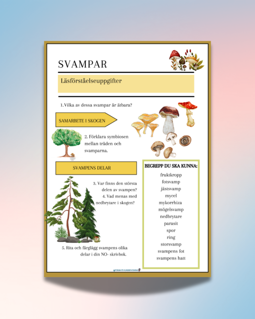 Svampar