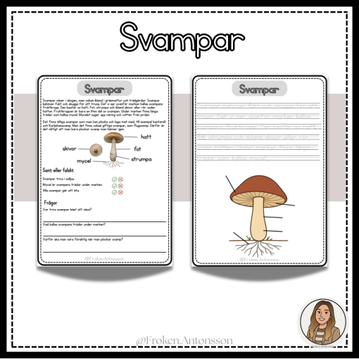 Svampar
