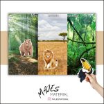 Placera djur – olika miljöer - bild 1