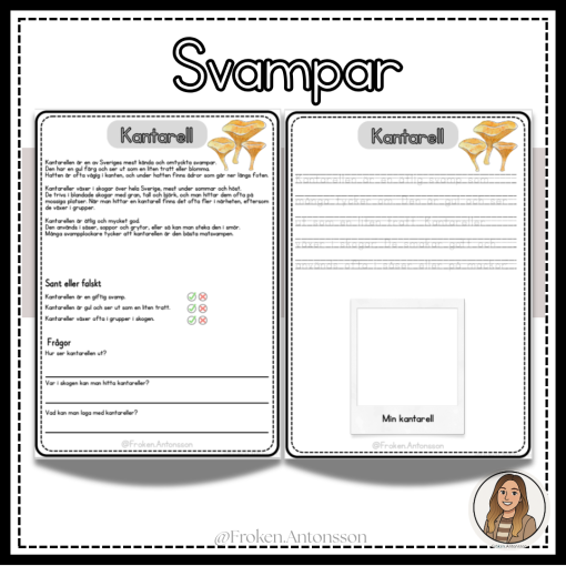 Svampar