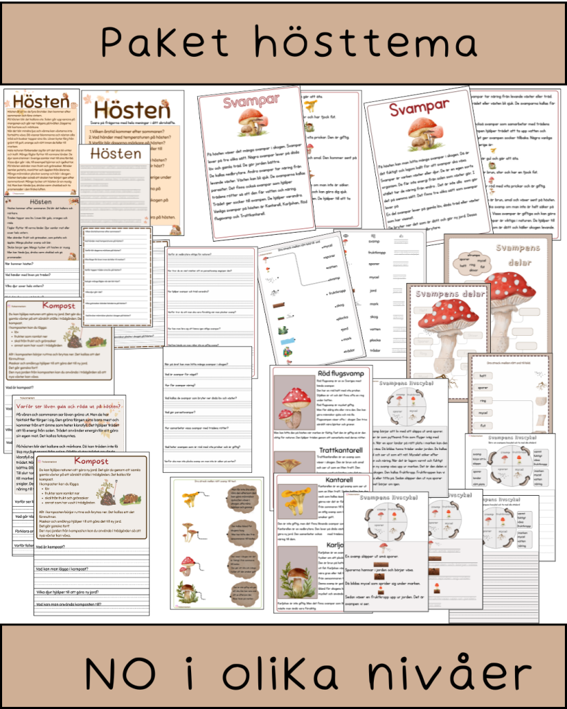 Paket- Höstema. Läs och skrivövningar i olika nivåer och SVA anpassad (59 sidor)