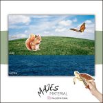 Placera ut – Fordon och djur - bild 2