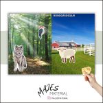 Placera djur – olika miljöer - bild 2