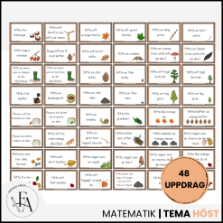 Uppdragskort: Skogsmatte med hösttecken