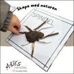 Skapa djur med natur - bild 2