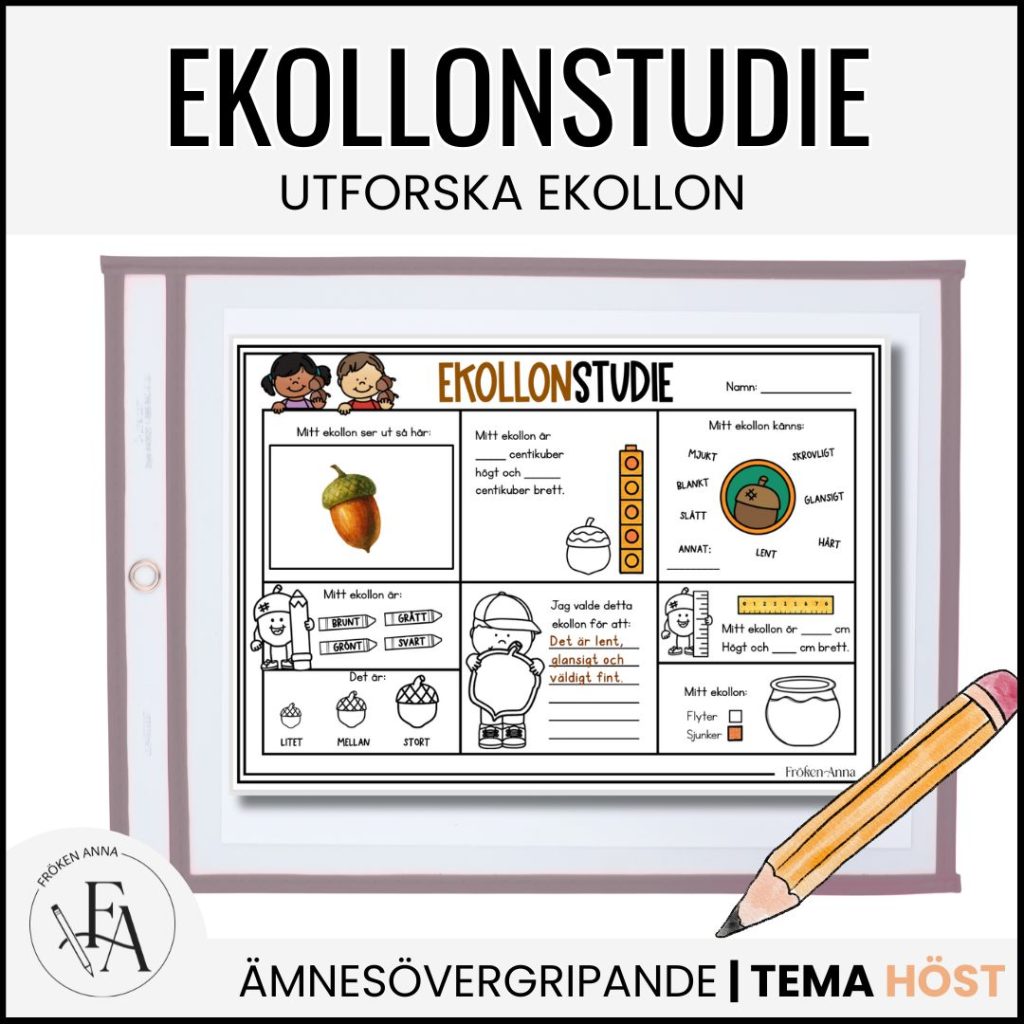 Ekollonstudie: Utforska ekollon