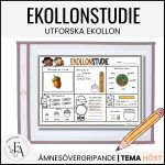 Ekollonstudie: Utforska ekollon - bild 1