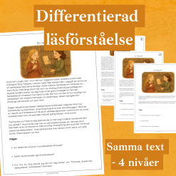 Differentierad läsförståelse - "En riktig bok", samma berättelse i fyra olika nivåer