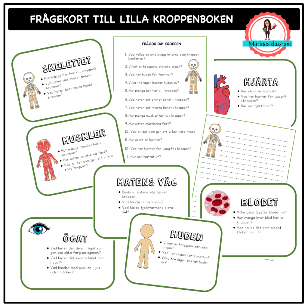 Frågekort till lilla boken om kroppen