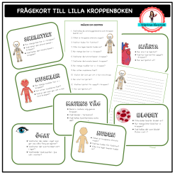 Frågekort till lilla boken om kroppen