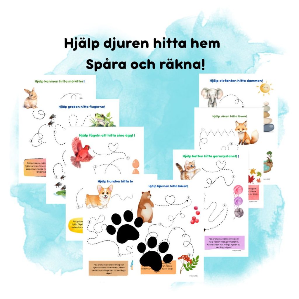 Spåra och räkna! Hjälp djuren hitta hem
