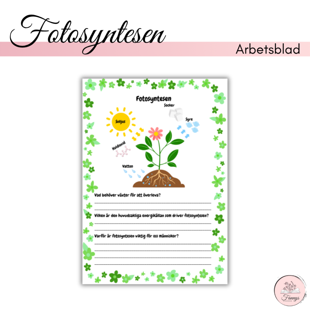 Arbetsblad fotosyntesen