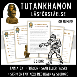 Tutankhamon och mumiernas mysterium – läsförståelse och skrivuppgift, åk 4 - ca 7