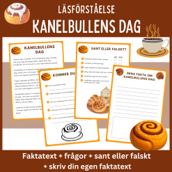 Läsförståelse om kanelbullens dag
