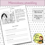 Människans utveckling – Arbetshäfte - bild 2