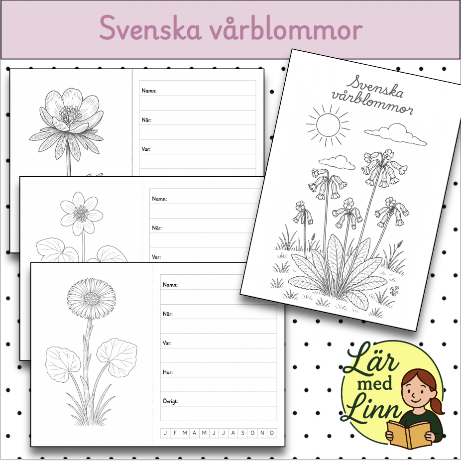 Svenska vårblommor - Arbetshäfte