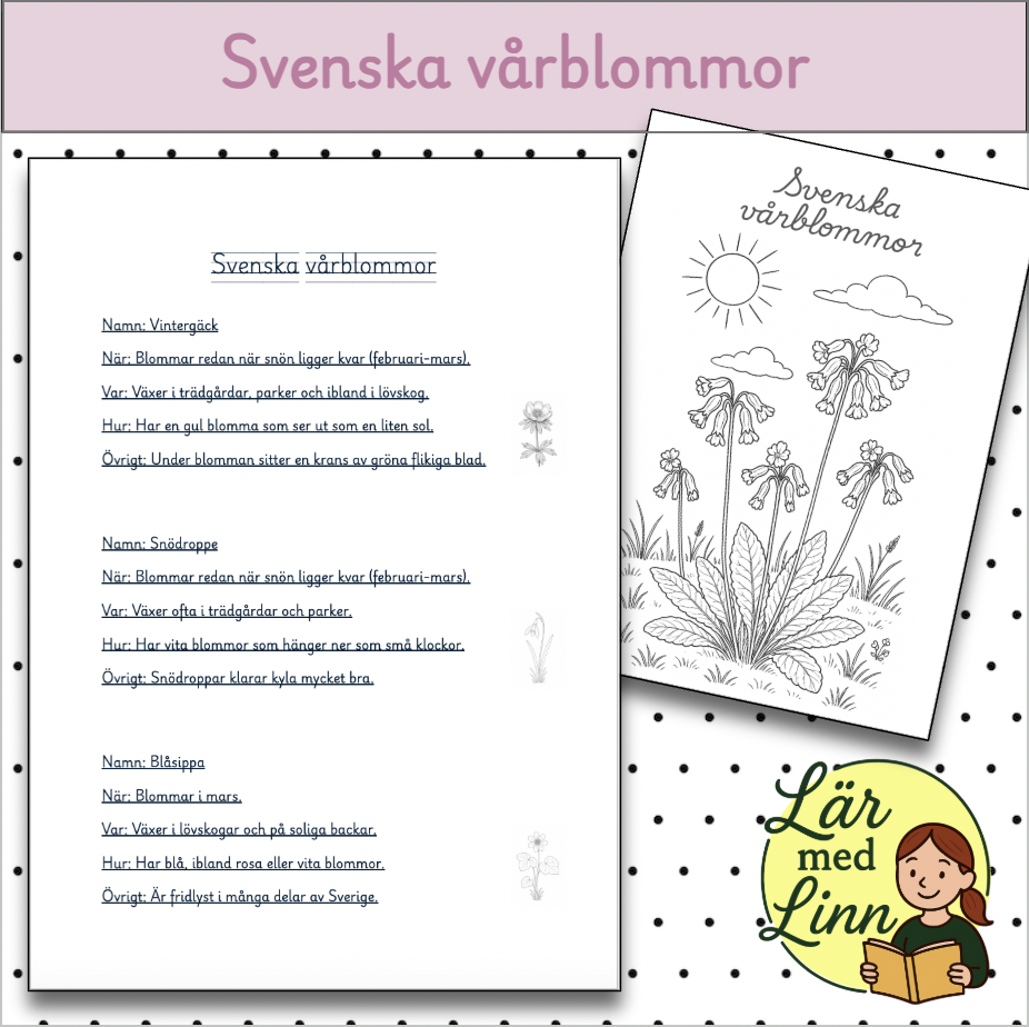 Svenska vårblommor - Arbetshäfte