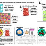 SYNONYMSPELET! – Ett brädspel där vi lär oss synonymer. - bild 2