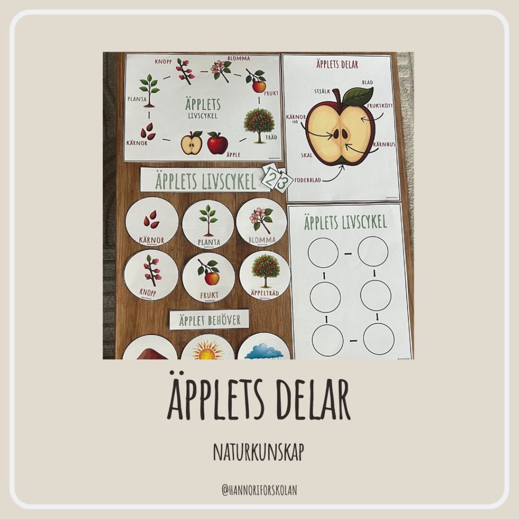 Äpplets delar
