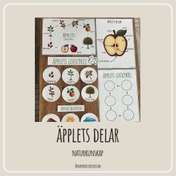 Äpplets delar