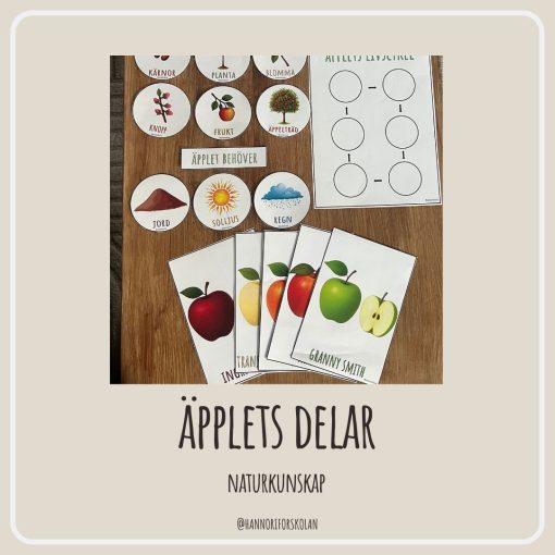 Äpplets delar