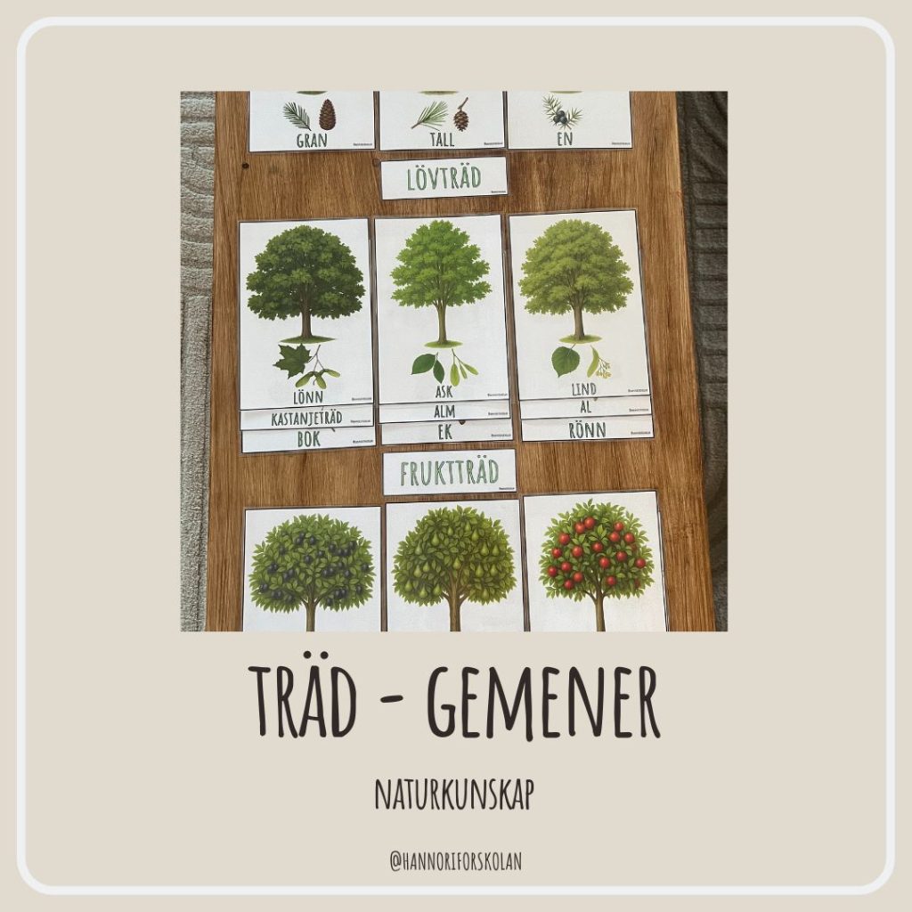 Träd – gemener