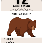 Tipspromenad – Alla världens djur (Paket) - bild 4