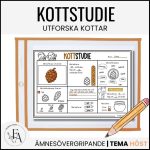 Kottstudie: Utforska kottar - bild 1
