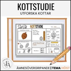 Kottstudie: Utforska kottar