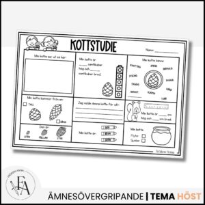 Kottstudie: Utforska kottar