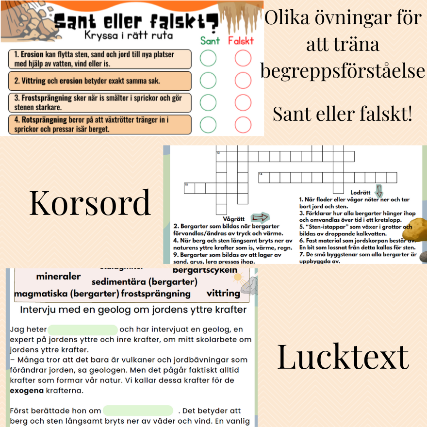 Begreppsträning Jordens yttre krafter och bergarter