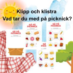 Klipp och klistra: Vad tar du med på picknick?