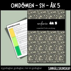 Färdiga omdömen - åk 5 - samhällskunskap