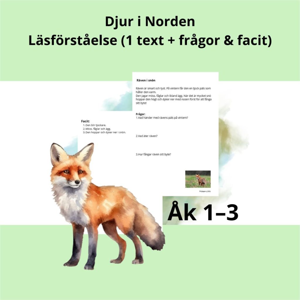 läsförståelse uppgift, Räven i snön