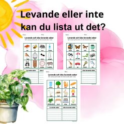 Levande och icke-levande saker – skriv i rutorna