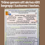 Begreppsträning Jordens yttre krafter och bergarter - bild 5