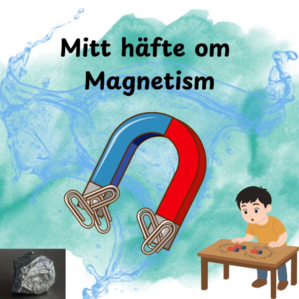 Mitt häfte om Magnetism