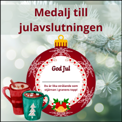 Medalj till julavslutning