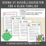 Lär eleverna privatekonomi. Gör budget för fyra familjer! - bild 1
