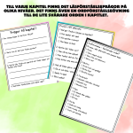 Kapitel 1-3 till julkalenderbok, läs- och ordförståelse övningar och extra aktivitetsblad. - bild 3