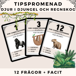 Tipspromenad - Djur i Djungel och Regnskog