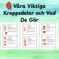Våra Viktiga Kroppsdelar och Vad De Gör