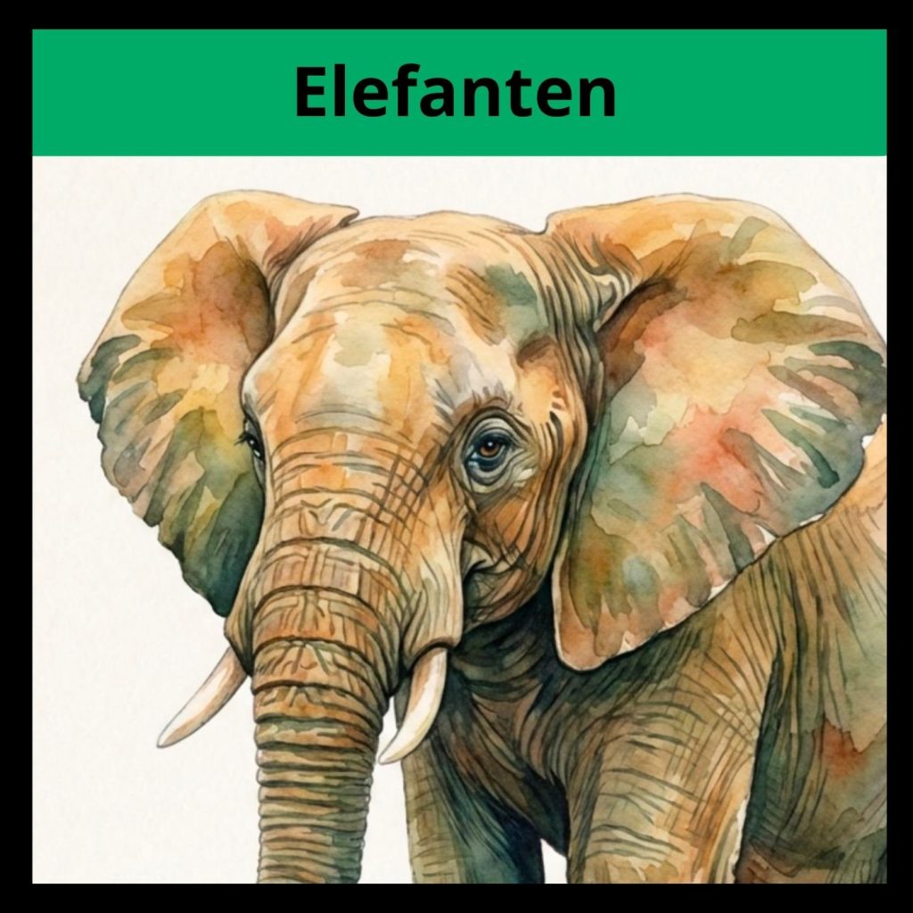 GOTD – Elefanter
