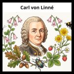 GOTD – Carl von Linné - bild 1