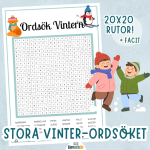 Stort Vinter-Ordsök! 20×20 rutor + facit - bild 1