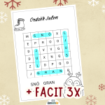 Ordsök julen 3 versioner + facit - bild 2